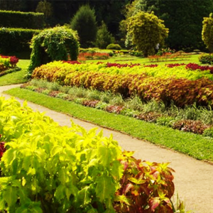 Travel-agents-in-Colombo-Sri-Lanka-airtickets-cheap-tickets-flydubai-inbound-tours-outbound-tours