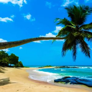 Travel-agents-in-Colombo-Sri-Lanka-airtickets-cheap-tickets-flydubai-inbound-tours-outbound-tours