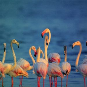 Travel-agents-in-Colombo-Sri-Lanka-airtickets-cheap-tickets-flydubai-inbound-tours-outbound-tours