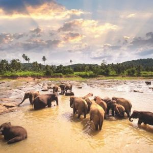 Travel-agents-in-Colombo-Sri-Lanka-airtickets-cheap-tickets-flydubai-inbound-tours-outbound-tours