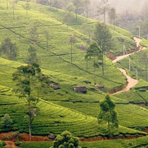 Travel-agents-in-Colombo-Sri-Lanka-airtickets-cheap-tickets-flydubai-inbound-tours-outbound-tours