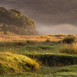 Travel-agents-in-Colombo-Sri-Lanka-airtickets-cheap-tickets-flydubai-inbound-tours-outbound-tours