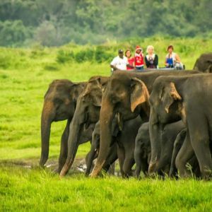 Travel-agents-in-Colombo-Sri-Lanka-airtickets-cheap-tickets-flydubai-inbound-tours-outbound-tours
